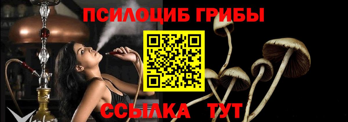 Псилоцибиновые грибы прущие грибы Семилуки